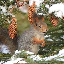 Cross stitch pattern: #2033984