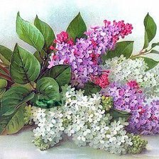 Cross stitch pattern: #2034093