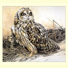 Cross stitch pattern: #2034180