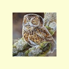 Cross stitch pattern: #2034183