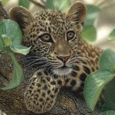 Cross stitch pattern: #2034201