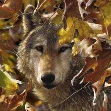 Cross stitch pattern: #2034232