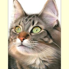 Cross stitch pattern: #2034304