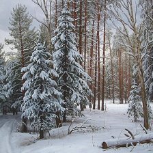 Cross stitch pattern: #2034335