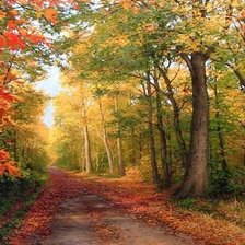 Cross stitch pattern: #2034700