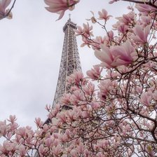 Cross stitch pattern: #2034797