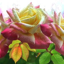 Cross stitch pattern: #2035263