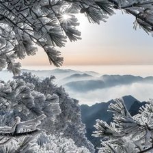 Cross stitch pattern: #2035673