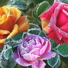 Cross stitch pattern: #2035941