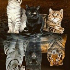 Cross stitch pattern: #2036294
