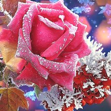 Cross stitch pattern: #2036479