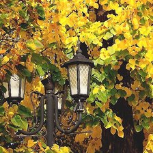 Cross stitch pattern: #2036485