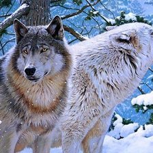 Cross stitch pattern: #2036502