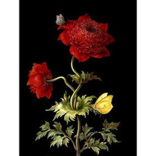 Cross stitch pattern: #2038121