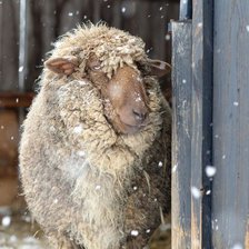 Cross stitch pattern: #2038474