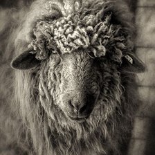 Cross stitch pattern: #2038478