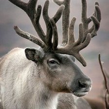 Cross stitch pattern: #2038485