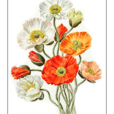 Cross stitch pattern: #2038784