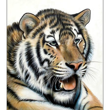 Cross stitch pattern: #2041607