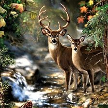 Cross stitch pattern: #2041858