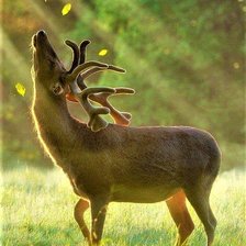 Cross stitch pattern: #2042852