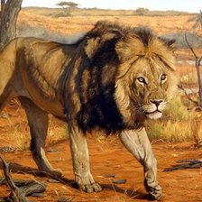 Cross stitch pattern: #2043628