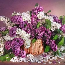 Cross stitch pattern: #2043831