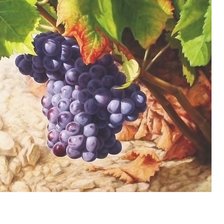 Cross stitch pattern: #2043874