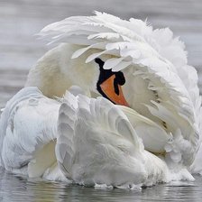 Cross stitch pattern: #2044489