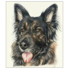 Cross stitch pattern: #2045163