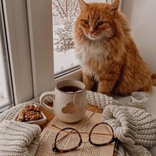 Cross stitch pattern: #2045893