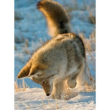 Cross stitch pattern: #2045961