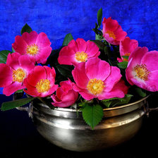 Cross stitch pattern: #2046080