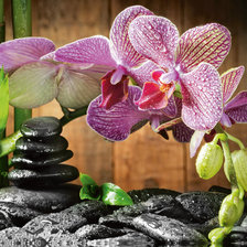 Cross stitch pattern: #2046230