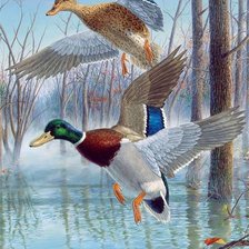 Cross stitch pattern: #2046387