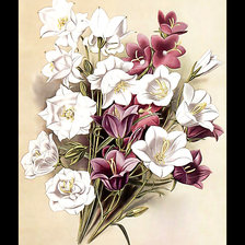 Cross stitch pattern: #2046581