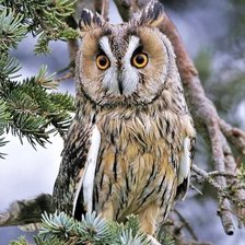 Cross stitch pattern: #2046659