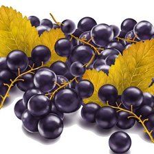 Cross stitch pattern: #2047284