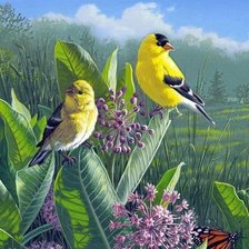 Cross stitch pattern: #2047293