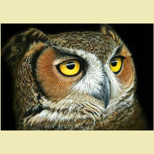 Cross stitch pattern: #2047371