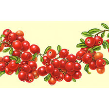 Cross stitch pattern: #2047621