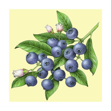 Cross stitch pattern: #2047622