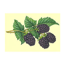 Cross stitch pattern: #2047623