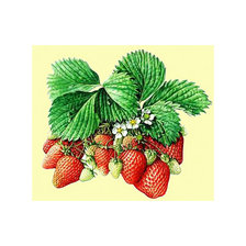 Cross stitch pattern: #2047625