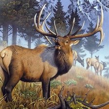 Cross stitch pattern: #2047869