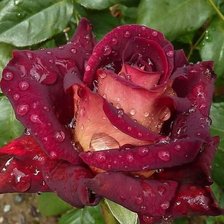 Cross stitch pattern: #2048288