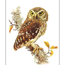 Cross stitch pattern: #2048378