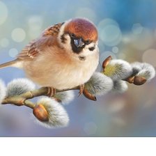 Cross stitch pattern: #2048444