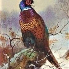 Cross stitch pattern: #2048476