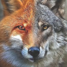 Cross stitch pattern: #2048731